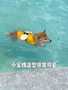 THPET เสื้อชูชีพสุนัข แบบลอยตัวสูง ถอดออกได้ พร้อมที่จับกู้ภัย