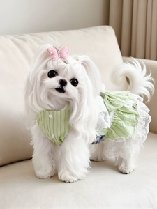 【Meoof】 Dog Dress Maltese Cloth Pet Princess Dress Small Size Green Dress 狗狗裙子马尔济斯衣服绿色宠物公主裙小型犬连衣裙