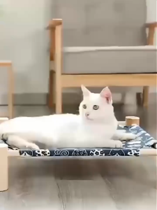 เตียงนอนไม้สำหรับสัตว์เลี้ยง ที่นอนแมว บ้านแมว เตียงไม้แมว อุปกรณ์สัตว์เลี้ยง เปลนอนสำหรับสัตว์เลี้ยง เปลนอนสัตว์เลี้ยง