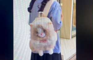 Balo Mèo Bông Lông Plush Cao Cấp Mini Hàn Quốc Đeo Đi Học Đi Chơi Du Lịch Chụp Ảnh Quà Tặng Nữ Dễ Thương