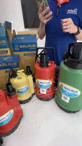 Walrus ปั๊มแช่ ไดโว่ ปั๊มน้ำ 100 วัตต์ 150 วัตต์ 400 วัตต์ ขนาดท่อ 1 นิ้ว 1.5 นิ้ว 2 นิ้ว