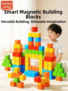 TONGMUXING | Educational Brain Training Magnetic Building Blocks
