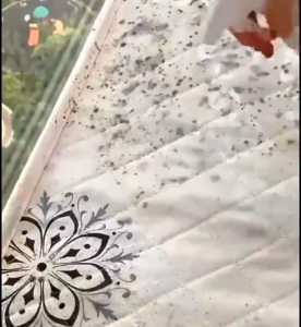 【COD】 สเปรย์กำจัดเชื้อรา 500ML น้ำยาฆ่าเชื้อรา น้ำยาขจัดเชื้อราบนผ้า  น้ำยาเช็ดเชื้อรา ขจัดเชื้ออราอย่างรวดเร็ว