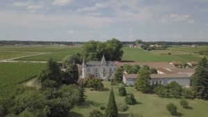 6 Bots - Chateau La Freynelle Bordeaux Rouge 2020