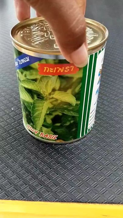 ปลาทอง กะเพรา พุ่มใหญ่ กลิ่นหอม