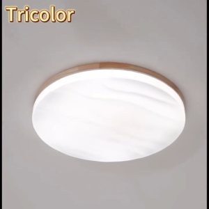 LED Ceiling Light Wooden Tri-color Ceiling Lamp Modern Starry Sky Light Living Room Study Lighting
