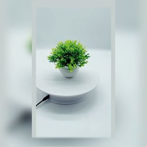 ส่งจากไทย ดอกไม้ปลอมสวยๆ มีให้เลือก 4 สี ต้นไม้ปลอม ต้นไม้ตกแต่งบ้าน ต้นไม้ประดิษฐ์ ต้นไม้ปลอม ต้นไม้ปลอม พร้อมกระถางและหิน รุ่น