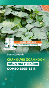 Combo Trị Xoăn Ngọn Xoắn Lá Rau Màu BS05 Movir BS14 Amino - Phục Hồi Cây Xoắn Lá - Bác Sĩ Cây Xanh