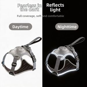 Hadassah | Adjustable Anti-Shock Chest & Leash Combined Dog Leash