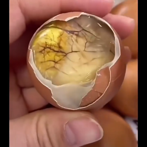 Premium Balut egg Ready to eat two flavors balot egg healthy delicious Spicy flavor and umami flavor daily snack