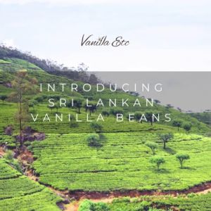 Vanilla Beans Sri Lanka  Gr A 100gr (Limited)