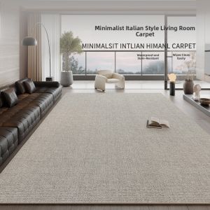 Italian Minimalist Waterproof Anti-Stain Easy Clean Carpet