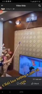 Cây lau trần nhà Cây lau tường 15m và 3m TOMAS cây lau công nghiệp