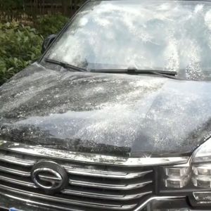 Chổi dẹt lau bụi có cán dài bằng kim loại sử dụng sợi quang dầu Polime tổng hợp cao cấp cây quét dùng để dọn vệ sinh nội thất cho xe hơi xe ô tô xe tải cũng như bàn ghế sofa trong không gian gia đình