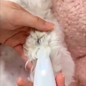 Electric Dog Clippers Low Noise Trimmer with LED Light USB Waterproof Shaver for Paws Eyes Ears & Face Grooming