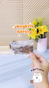 Jangkrik Kering 30-40 pcs Dried Cricket Snack Hamster Sugar Glider Landak mini