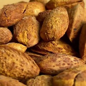 HAHATAO | Shelled Milk Flavor Almonds 500g Can