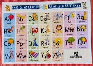 Laminated ABC Alphabet Chart and Vowels and Consonants Chart A4 Size