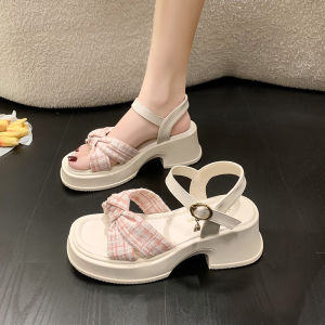 Womens Sandals 2025 New Summer Outdoor Thick Bottom Elegance Lady Beachside Beach Stone One-Strap Mary Jane Shoes Thick Heel