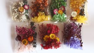 Natural Plants Dried Starry Sky Flower Preserved Materials Kit Epoxy Resin Candles Crafts Colorful Handmade Plants Soap DIY Floral Materials Set Dried Real Flowers