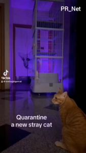 มุ้งกันยุงกรงแมว​คอนโดขนาดใหญ่ มีให้เลือกหลายขนาด​ #มีซิปรูดปิด/เปิด​2เส้น #ผ้ามุ้งไนล่อนตา32 #ผ้าเกรดA *สินค้าไม่รวมกรง