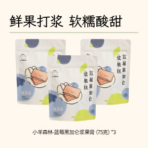 Healthy Nutritious Blueberry Blackcurrant Fruit Cake Childrens Snack Small Lamb Forest No Added Sugar Fruit Bar Dry Fruits