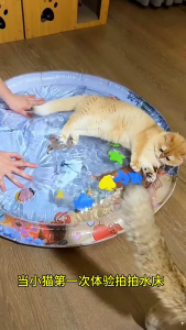Pets Water Cushion Interactive Cooling Water Bed Playmat Dog Bed Mats 宠物水垫