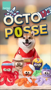 FuzzYard Octo-Posse Dog Toys | 5 Octopus Design with Squeaker