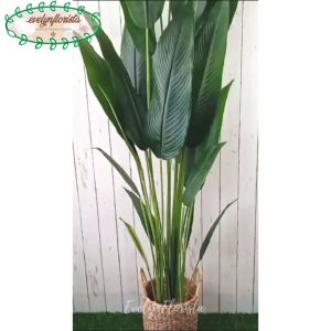 Pohon Imitasi Tanaman Artificial Pisangan Heliconia T210 Latex Cover Eceng Gondok Handle Dekorasi Rumah Aesthetic
