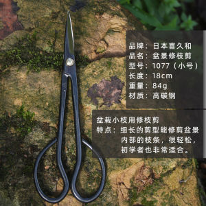 Japanese Imported Xijiuhe Taoist Seal Leaf Bud Scissors Bonsai Fine Branch Scissors Chinese Rose May Cut Orchid Seedling Pruning Shear