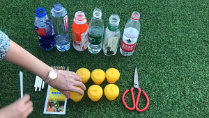 อุปกรณ์ดักแมลง ดักแมลงวัน ล่อแมลงวันทอง | ถูกปรับปรุง เป็นผู้ใช้งานทุกวัน | สามารถเปลี่ยนสำลีง่าย