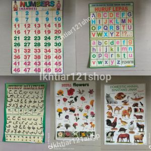5 pcs paket poster edukasi anak/poster dinding