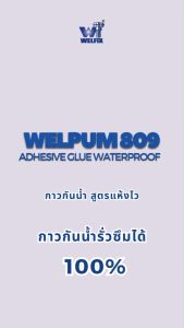 กาวกันซึม กาวน้ำกันซึม WELFIX เวลพลัม 809 พร้อมแปรงขนาด 1 นิ้ว ฟรี กาวกันน้ำสูตรแห้งไว กาวกันน้ำซึม