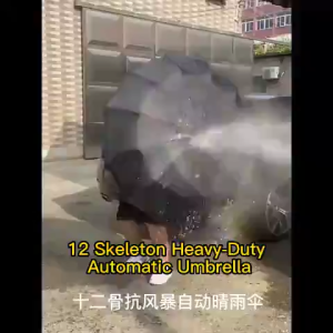 NEW 24 Ribs Automatic Umbrella: Storm & Sun Protection