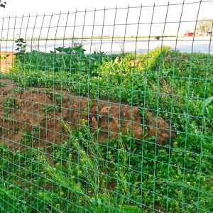 Green Protective Mesh: A Comprehensive Guide