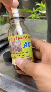 Phân Bón Kích Rễ Mai Vàng A01 Chai 100ml - Phân Bón Chuyên Kích Rễ Giâm Cành Chiết Cành