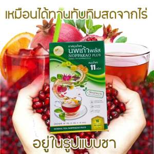 ชาสมุนไพร นพเก้า