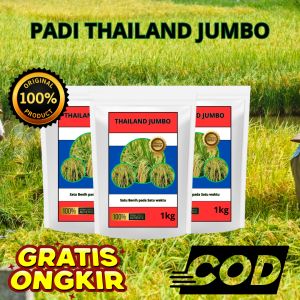 Benih Padi Thailand Jumbo 1kg original berkualitas gratis ongkir cod