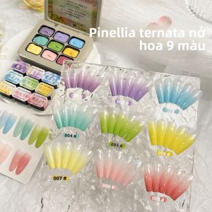 Sơn Móng Tay Dạng Gel Bán Cứng 9 Màu Pinellia Ternata Độ Bám Màu Cao Không Lem Đóng Hộp Dùng Cho Tiệm Nail Chuyên Nghiệp