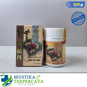 Ganoderma Huo Luo Dan - Obat reumatik dan asam urat