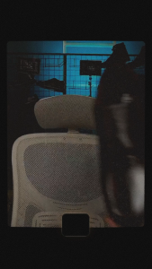 SEVILA SHOES - Sepatu Pantofel Hitam Pria Formal Kantor Leather Sepatu Pantofel Oxford Formal Kerja Hitam Pria