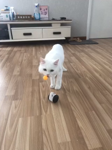 Đồ chơi cho Mèo xe cân bằng tự động gắn lông vũ và trái banh (mẫu mới) - Love Pets Shop