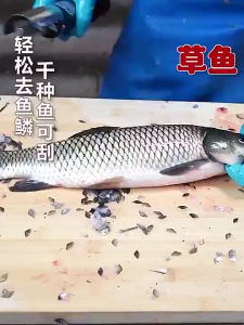 <𝙇𝒂𝙯𝑴𝙖𝒍𝙡> Electric Fish Auto Scaler 24000RPM Portable Cordless 4000mAh Fish Scale Machine