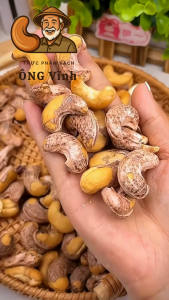 🔥Hạt Điều Rang Muối Vỏ Lụa Ông Vĩnh – Đặc Sản Bình Phước – Giòn Thơm Tự Nhiên – Giàu Dinh Dưỡng