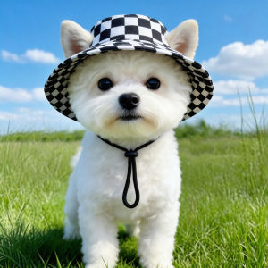 Petone dOrage | Summer Outdoor Sun Hat For Pets