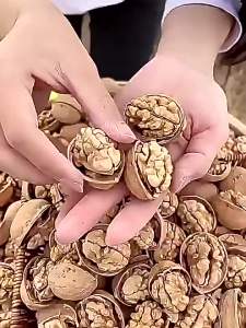 Fresh Original Flavor Pregnancy Special Walnut 5 jin
