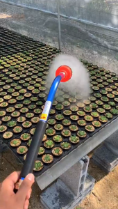 ฝักบัวรดน้ำ 2000 รู รดน้ำแคคตัส รดน้ำต้นไม้ ต้นกล้า ต่อกับสายยาง 4หุน 6หุน 1นิ้ว 4/6หุน ตัวเชื่อมต่อ ฝักบัวรดน้ำแคคตัส ฝักบัวรดน้ำบอนไซ