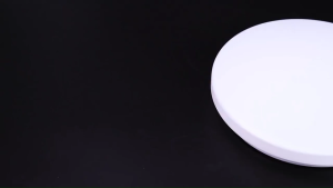 โคมติดเพดาน LED 24W 36W 48W Daylight 6500K โคมไฟซาลาเบา ไฟกลมติดเพดานห้อง/ระเบียง/ห้าง คุณภาพสูง ปลอดภัย ทนทาน