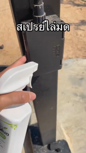 ⚡จัดส่งภายใน 24 ชม⚡【สเปรย์กำจัดมด】สเปรย์ไล่มด/สเปรย์สมุนไพร ไล่มด แมลงสาบ / ไม่เป็นพิษ ปลอดภัย กลิ่นไม่ฉุน ใช้ในบ้านได้