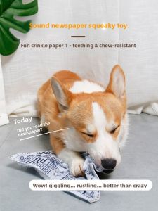 VOA | Self-Entertainment Sound-Producing Durable Chewing Dog Toy